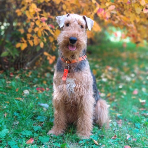 Анализ литературного произведения