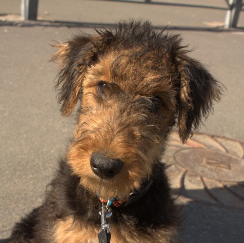 Кроссворд «Длинный кроссворд»